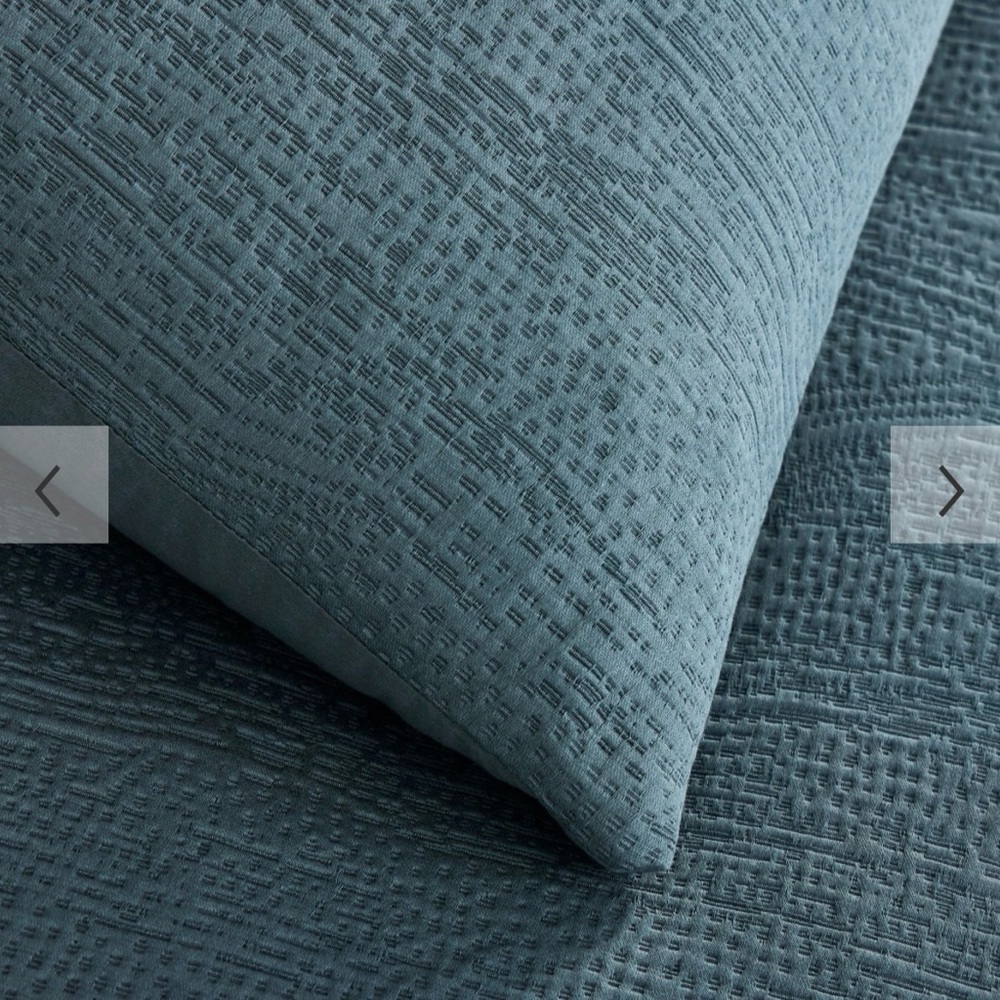 West Elm Blue TENCEL Shams Euro Set